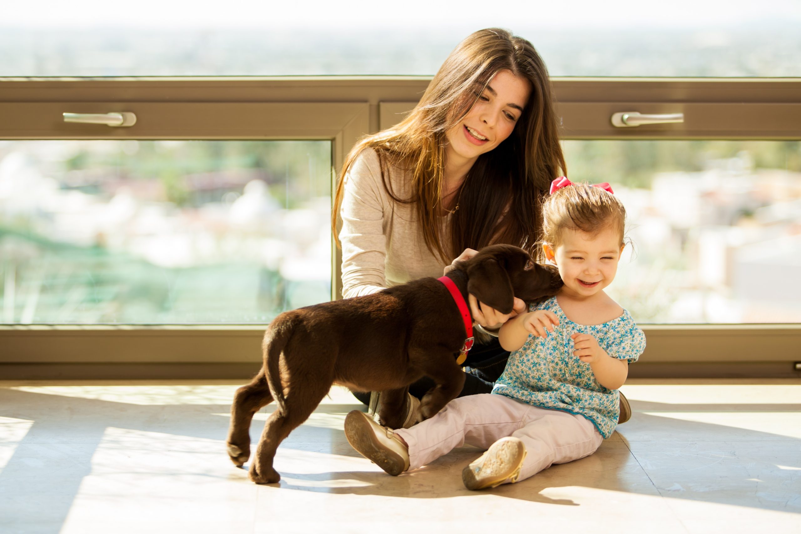 Floor warming baby and puppy (1) (1)